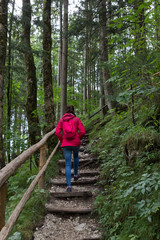 Fototapeta premium girl climbing a ladder between the mountains