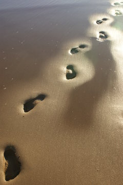 footprints in the sand on the beach sunset