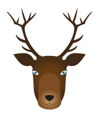 vector illustration of black nose deer