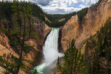 Lower Falls of the Yellowstone from Lookout Point, Yellowstone National Park