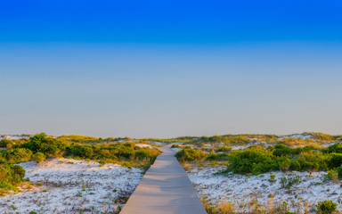 Walking path thru sand beach dunes and foliage, leading to ocean beach. Beautiful natural outdoor setting with blue skies. Relaxed vacation destination at tropical Gulf Coast.