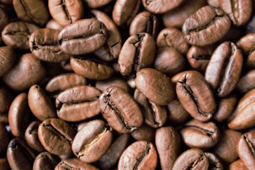 Coffee beans - macro