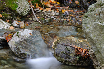 Obraz premium Mossy and leaf filled brooks and stream during the autumn and fall colors of Mt Mansfield area near Stowe Vermont