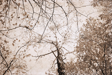 Artwork in retro style, autumn trees