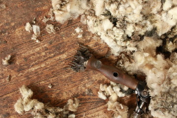 old vintage shearing shears on the floor of the family farm shearing shed surrounded by freshly shorn wool on a farm in rural Victoria, Australia