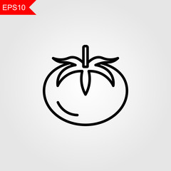 Tomato thin line icon on grey background. Vector illustration eps10.