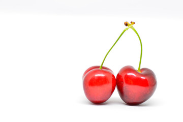red cherries on white background