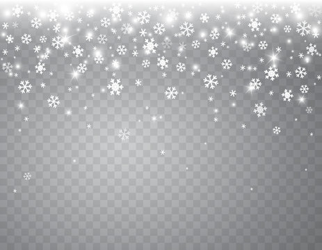 Snow flakes falling isolated on transparent background. Vector christmas snowfall overlay texture, white snowflakes flying in winter air.
