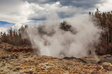 Steamboat Geyser Venting in the Yellowstone National Park