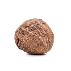 wrinkled nutmeg on an isolated white background