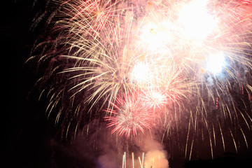 bright and color fireworks for celebration party. black night sky and colors firework