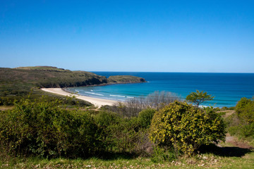 beach scene australia