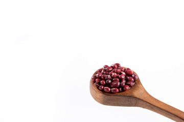 Red Bean Adzuki - Vigna angularis