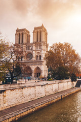 Fototapeta na wymiar Notre dame de Paris viewed from River Seine