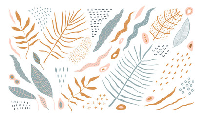 Floral abstract shapes and leaves for natural modern tropical natural botany design.