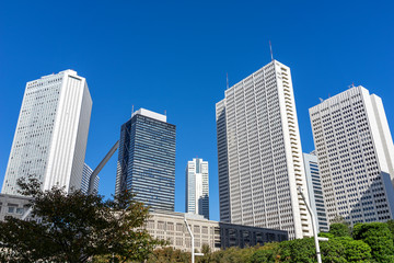 Fototapeta premium 東京の風景 西新宿の高層ビル
