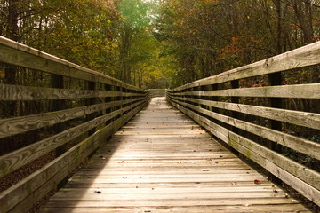 Boardwalk on a park nature trail