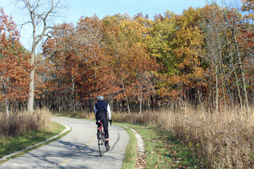 Obraz premium at Miami Woods in Morton Grove, Illinois