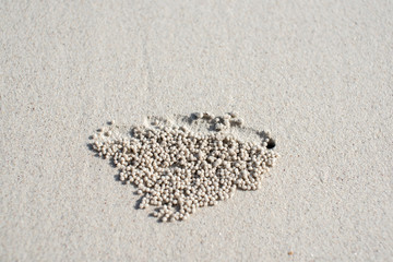 Sand skin that has characteristics
