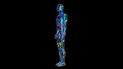 x-ray humain body colorful, humain body scan