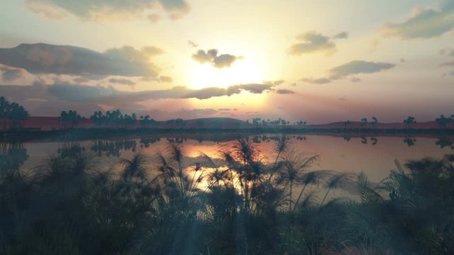 sunset over oasis in Africa 4k