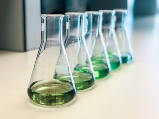 The Erlenmeyer or Conical flasks on bench laboratory, with range of green solvent forming reaction between boric acid and ammonia solution analysis concentration in wastewater sample. Selective focus.