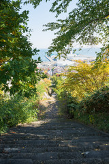 Fototapeta premium 小樽 水天宮からの景色