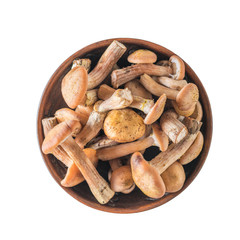 Forest autumn mushrooms in a clay bowl isolated on a white background. Forest mushrooms on the table. Flat lay.