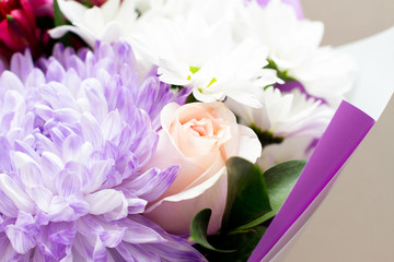 Purple chrysanthemum in a bouquet with roses. Close up of chrysanthemum  flowers