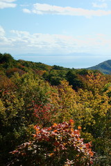 紅葉山公園展望台から対岸の弥彦・角田を眺める
