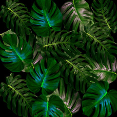 Obraz na płótnie Canvas Green leaves pattern for nature concept,tropical leaf textured background