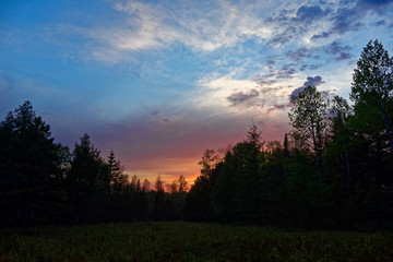 sunset in the forest