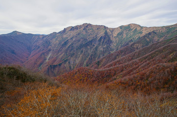 紅葉の谷川岳