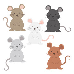 Vector illustration of Cute Rat Mouse Cartoon Character Set, with 5 different color