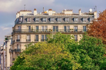 A traditional Parisian apartment building in a residential neighborhood, with large trees adding nature to the urban setting.