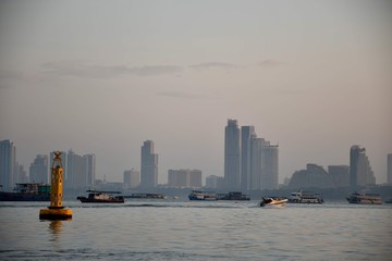 Fototapeta premium san diego skyline at sunset