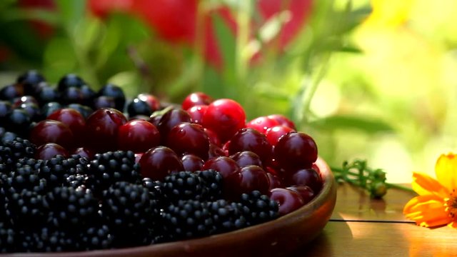 Pan right shot of a big bowl of healthy fruits, blackberry, cherry and plums.