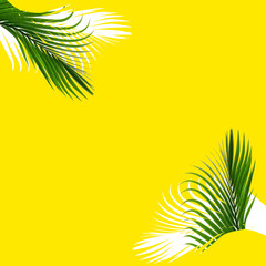 Fototapeta na wymiar Green palm leaves pattern for nature concept,tropical leaf on yellow background