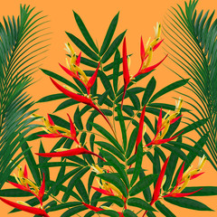 colorful palm leaves pattern for nature concept,tropical leaf on orange background