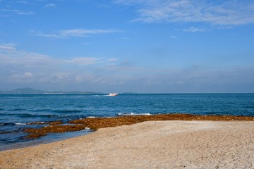 beach and sea