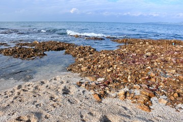 coast of mediterranean sea