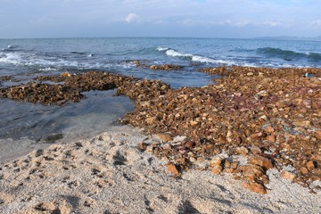 coast of mediterranean sea