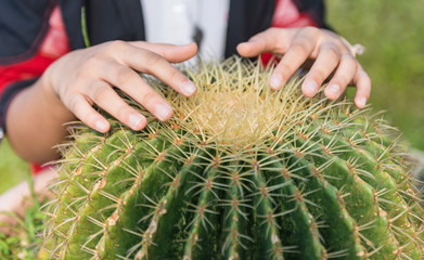 Woman hand touching prickly cactus.