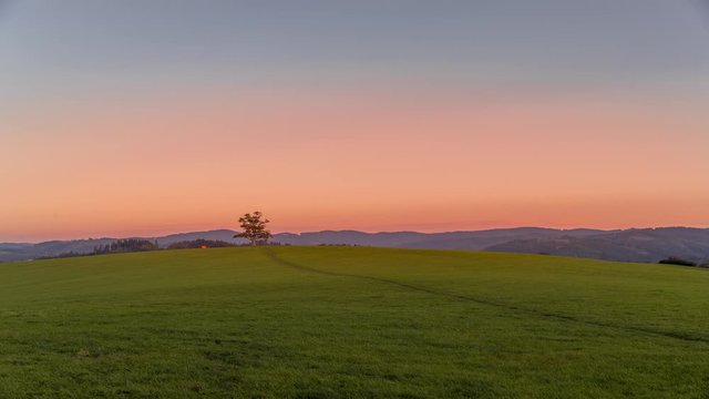 A lone tree on a hill and a family who decided to fly an artificial kite timelapse during the autumn sunset, capturing the sunset with orange-colored clouds and people on the hill.