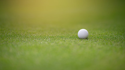 The white golf ball on the green greens closely. Golf background image with text space.