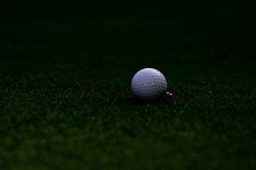 The golf ball is placed in a green lawn with orange insects attached to the golf ball.
