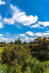 Fototapeta premium Humedal en medio de la ciudad 