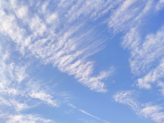 Fototapeta premium 秋の空 はけ雲 鰯雲 鱗雲