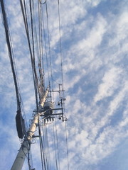 秋空　電線