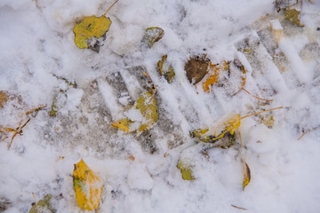 Footprint in snow with yellow autumn leaves
